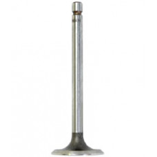 Intake Valve