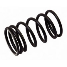 Valve Spring, Outer