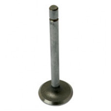 Intake Valve