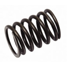 Valve Spring